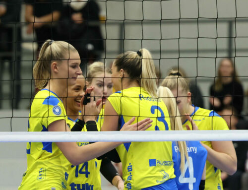 SSC Palmberg Schwerin tritt im CEV Volleyball Cup an