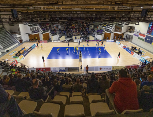CEV-Cup: Schwerin übersteht souverän das Achtelfinale