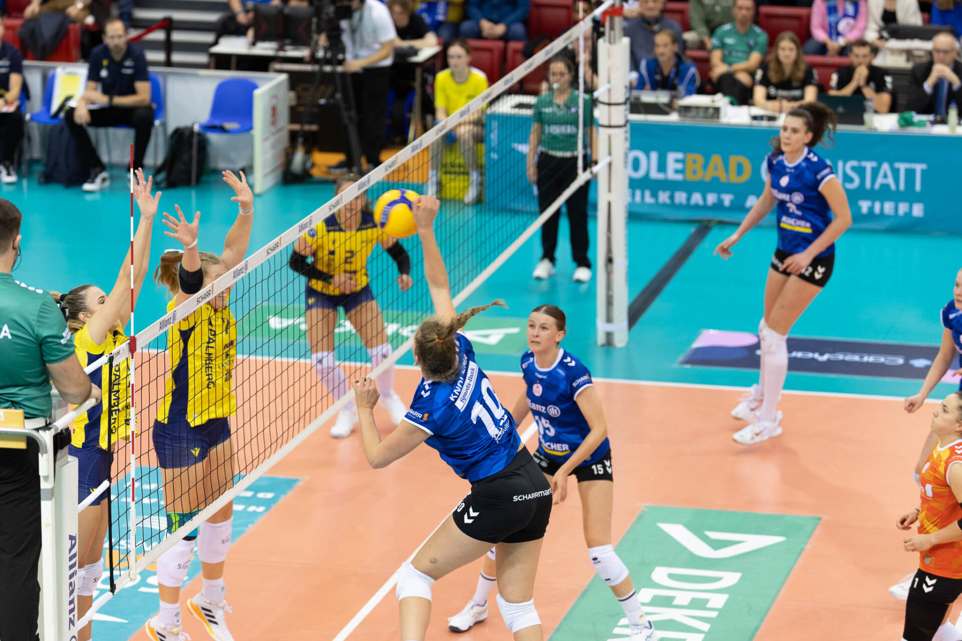 SSC Palmberg verliert mit 3:2 in Stuttgart