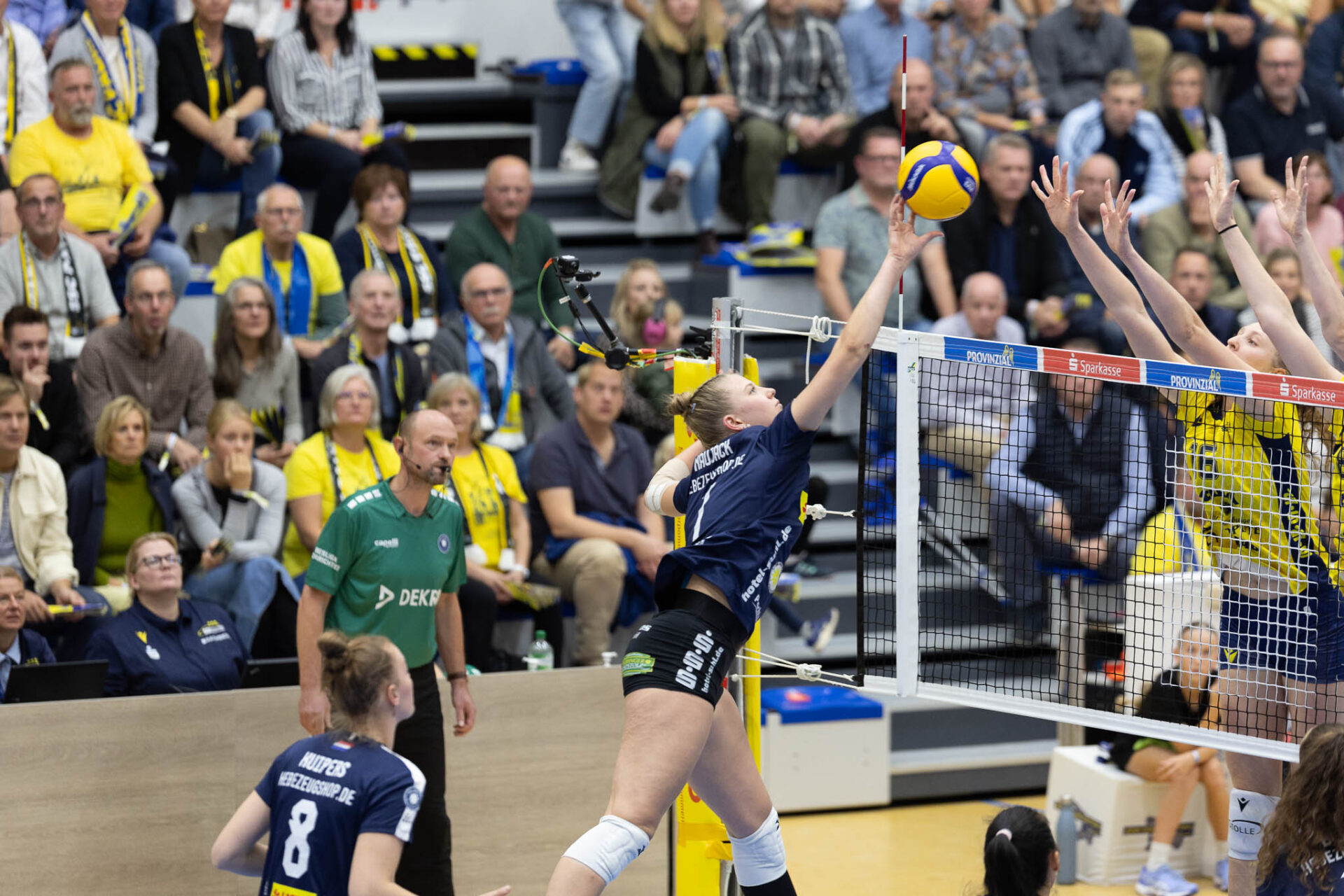 DVV-Achtelfinale in der Suhler Wolfsgrube