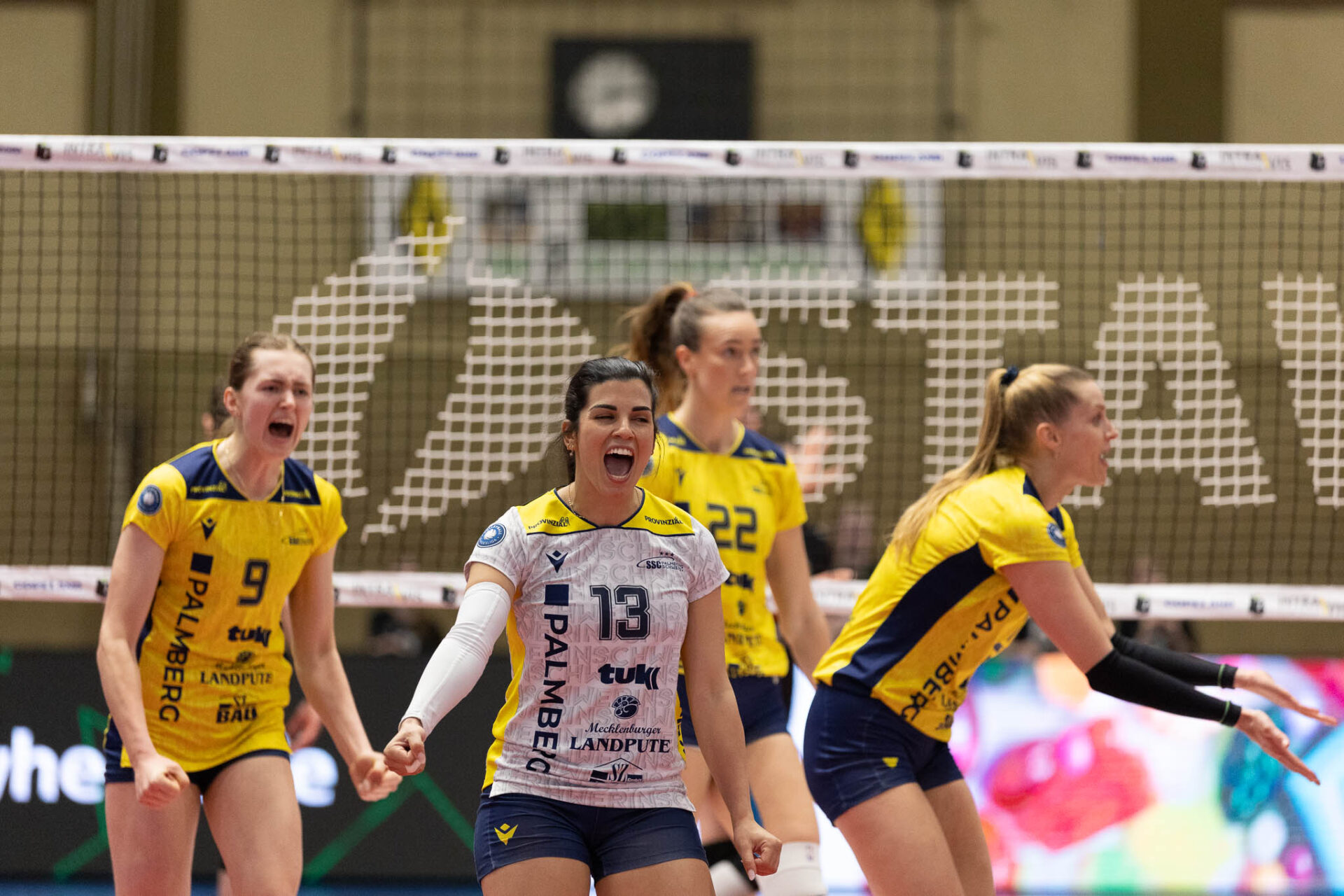 Schwerin zieht ins Play-Off Halbfinale ein