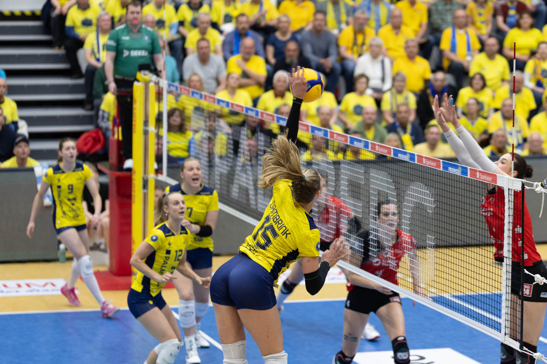 Dresden lädt zum 2. Play-Off Finale an die Elbe