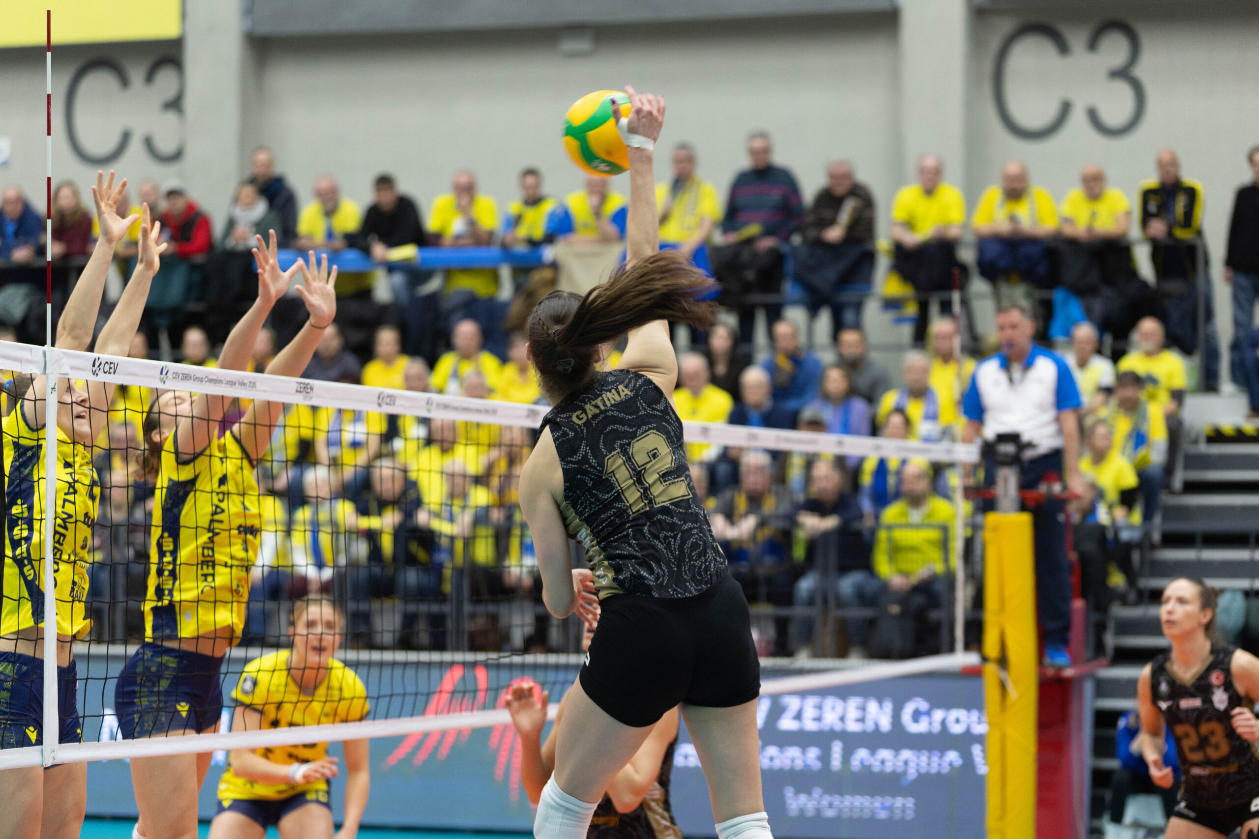 Schwerin verliert nach hartem Kampf 1:3 in der Königsklasse